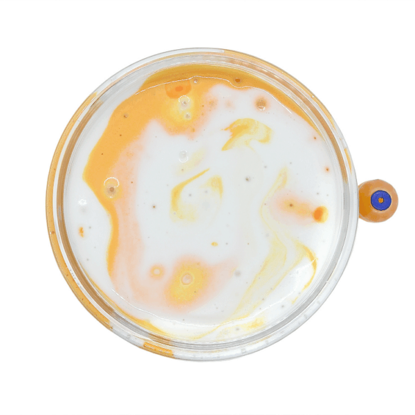 Fizzy Pop - Image 2