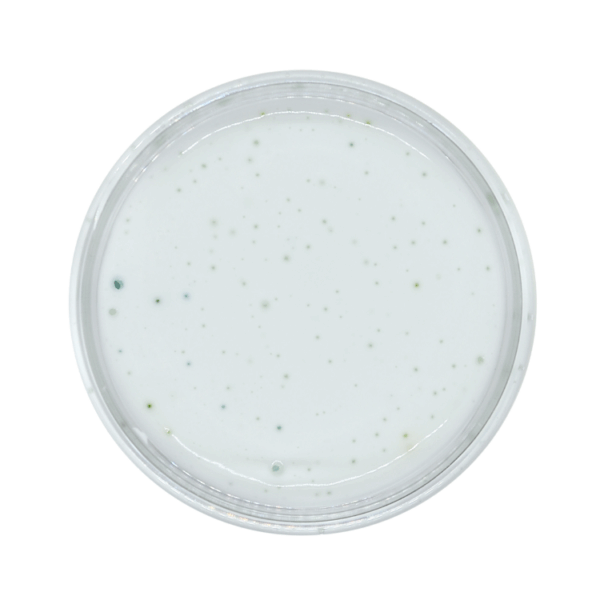 Frosted Donut - Image 2