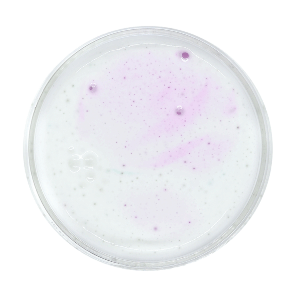 Gummies - Image 2