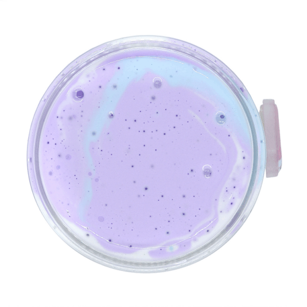 Ice Cream Bus - Image 2